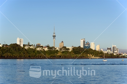A landscape of the Auckland Sky Tower as seen from the Auckland Sailing Club