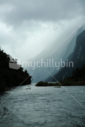 Clouds and rain in Milford sound