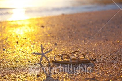 A starfish and a sandal