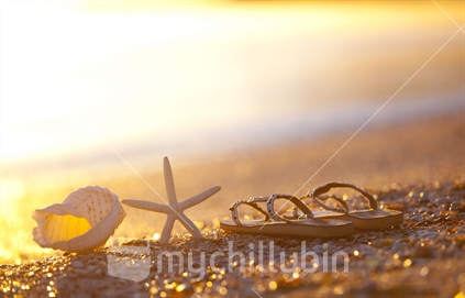 A shell, starfish, and empty sandals on the sand