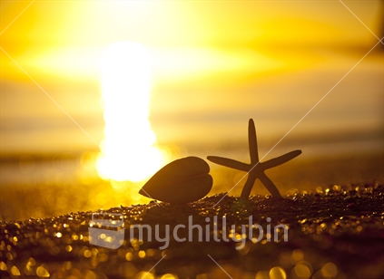 The sunset, shell and starfish