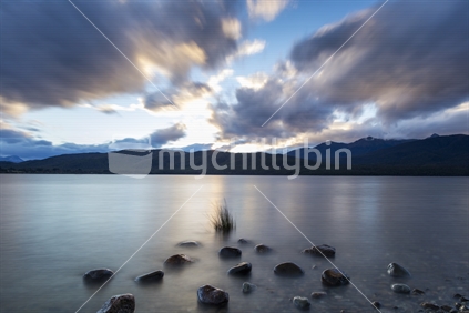 Lake Te Anau Stones and Plant