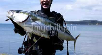 Big haku or kingfish