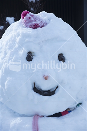 Tekapo Fruity Snowman
