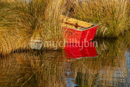 Dinghy in the rushes