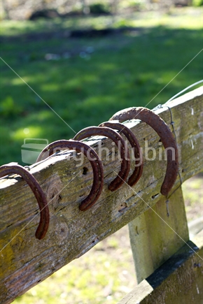 Horse shoes on a fence