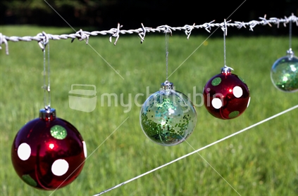 Baubles on barbed wire