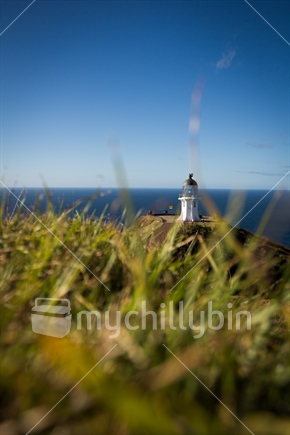 Lighthouse at Cape Reinga (distant focus)