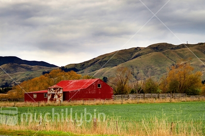 Red barn nestled on the flat in the South Island