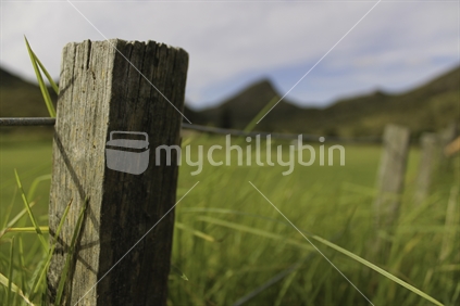 Rural farm fence post