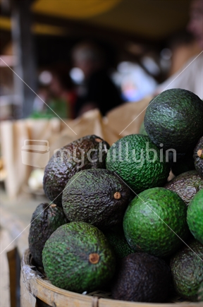 Avocados for sale at a rural Farmers' Market.