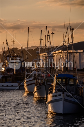 Boats moored in the Manukau Harbour at sunset.