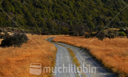 A gravel country road through a golden field