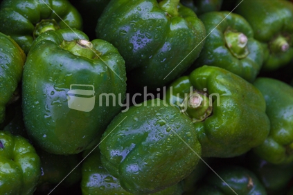 A pile of green bell peppers with water droplets