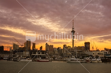 View of Auckland CBD at Sunset and West Haven Marina