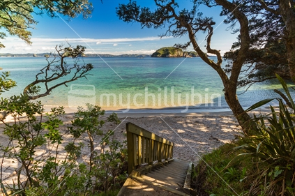 Steps down to a secluded beach in the Coromandel.