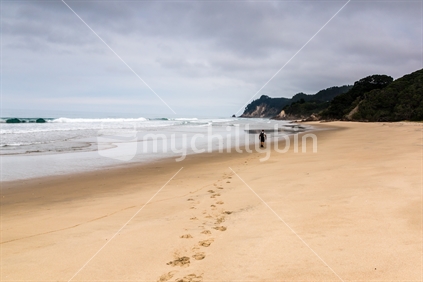 Coromandel beach with person walking away