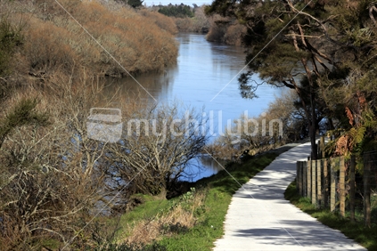 Path on the Waikato River, north of Hamilton.