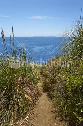 Matapouri - coastal view of the path, blue ocean and the Poor Knights Islands, Tutukaka Coast, Northland