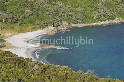 Smugglers Bay beaches and coastal native bush - Bream Head Scenic Reserve, Whangarei, Northland, New Zealand