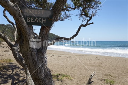'Nudist beach' sign on a beautiful beach - Daisy Bay, Tutukaka Coast, Northland