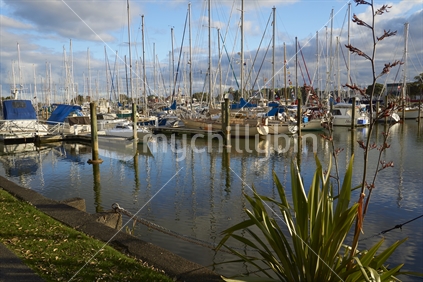 Yachts at the Whangarei Town Basin, yacht harbour and marina, Northland, New Zealand
