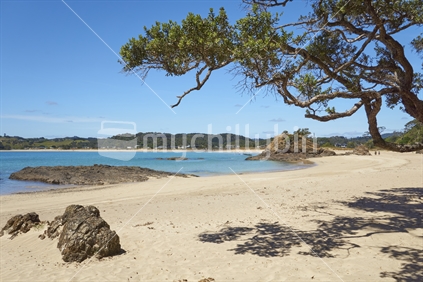 Matapouri Bay - beach with shade under Pohutukawa tree, Tutukaka Coast, Northland