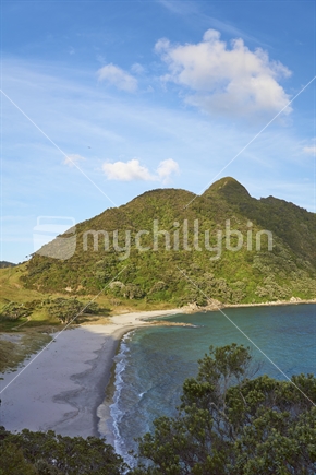 Smugglers Bay with Mount Lion at sunset - Bream Head Scenic Reserve, Whangarei, Northland, New Zealand