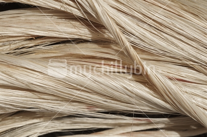 Closeup of muka, the shiny white flax fibre strands - Maori flax weaving