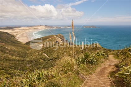 Northland's wild and beautiful Te Werahi Beach close to Cape Reinga, Te Araroa Trail walking track with steps and toetoe grass