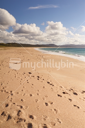 Beautiful golden sand of Spirits Bay beach (Kapowairua) in the Far North