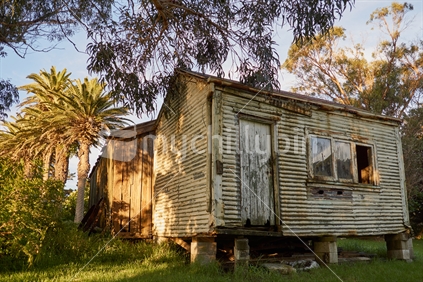 Historic abandoned corrugated iron homestead and palm trees at the Houhora Heads in the Far North