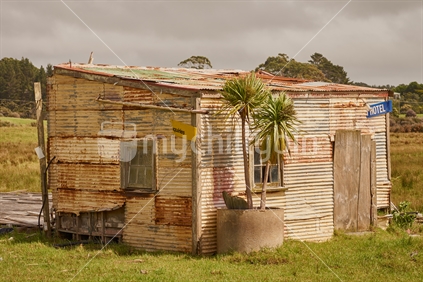 Typical corrugated iron farm shed with cabbage tree - Houhora,  Far North,  Northland