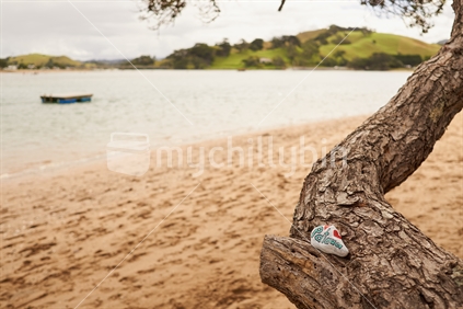 'I love Pataua' rock on a tree, one of many fun hand-painted stones hidden by kids to be found by others as part of the 'Whangarei Rocks' movement