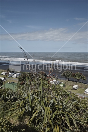 Typical beach campground with campervans and caravans parked on the waterfront, flax bush and sea views - west coast at black sand Mokau beach
