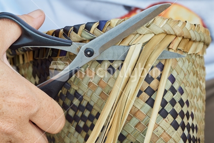 Maori flax weaving in progress - closeup with hand and scissors cutting off the strands (whenu) of an inside out kete
