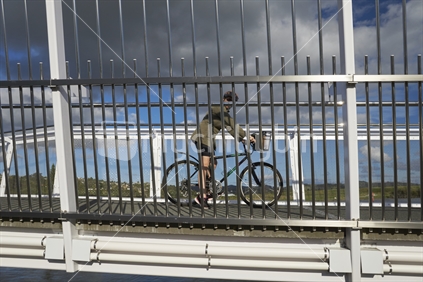Cyclist on Whangarei's new Kotuitui Whitinga bridge - Hatea Loop walkway and cycle way around the harbour, Northland
