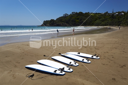 Surf boards lined up on a surf beach in Sandy Bay, Tutukaka Coast, Northland