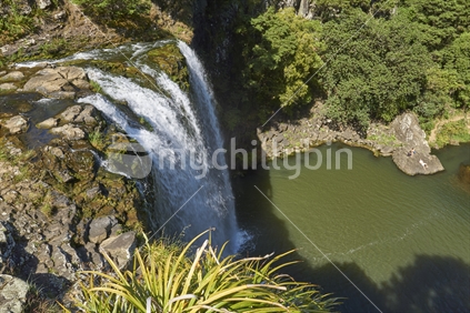 Whangarei Falls in summer with tourists relaxing on the rocks - view from the main lookout, Whangarei, Northland