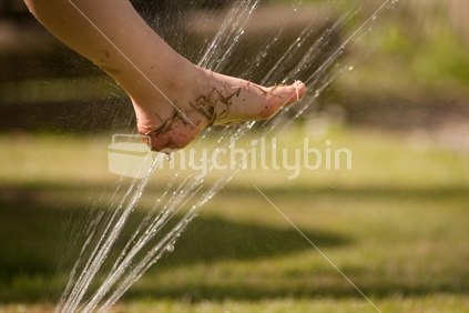 Grassy foot in sprinkler. 