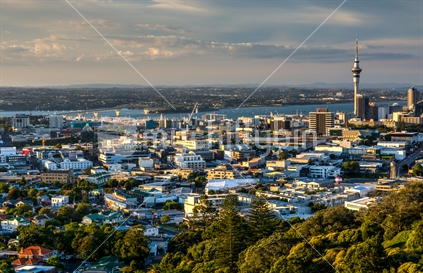 Auckland City from Mt Eden