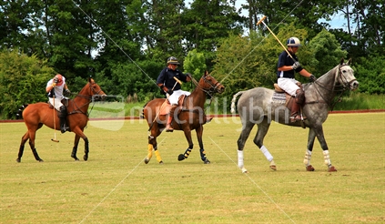 Action at a polo match in Canterbury.