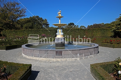 Formal rose garden and fountain in Timaru Botanical garden.