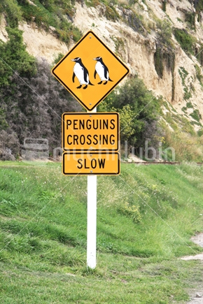 This Penguins Crossing sign warns visitors to look out for Little Blue Penguins crossing the road at Oamaru's Friendly Bay waterfront.