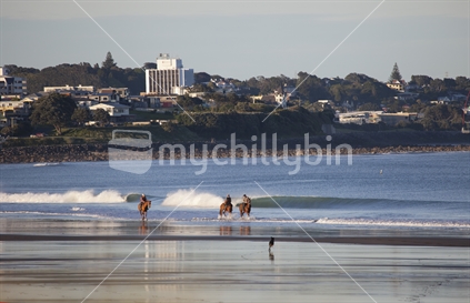 Horses being ridden on Fitzroy Beach in New Plymouth, with New Plymouth City in background, dog running in foreground