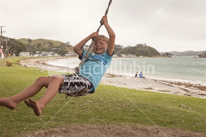 Child (boy, 6) swinging on Pohutukawa Tree swing at Oakura Bay, Northland. Sea in background