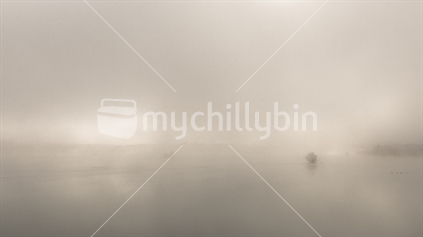 Abstract mist over Lake Cromwell