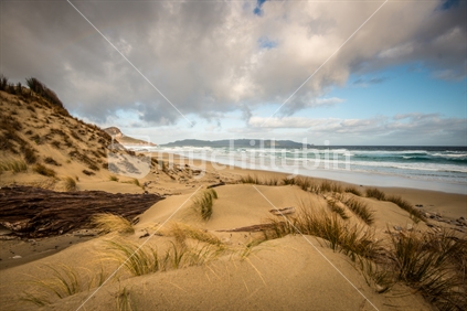 Sand dunes on the way to the beach, Stewart Island