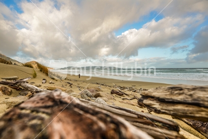 Scenic view of beach with driftwood in foreground