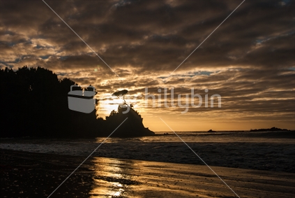 Sunset at a Stewart Island beach